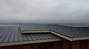 Best Commercial Roofing Services  in Lake Hiawatha, NJ